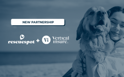 Rescue Spot Partners with Vertical Insure to Protect More Pets with Embedded Insurance